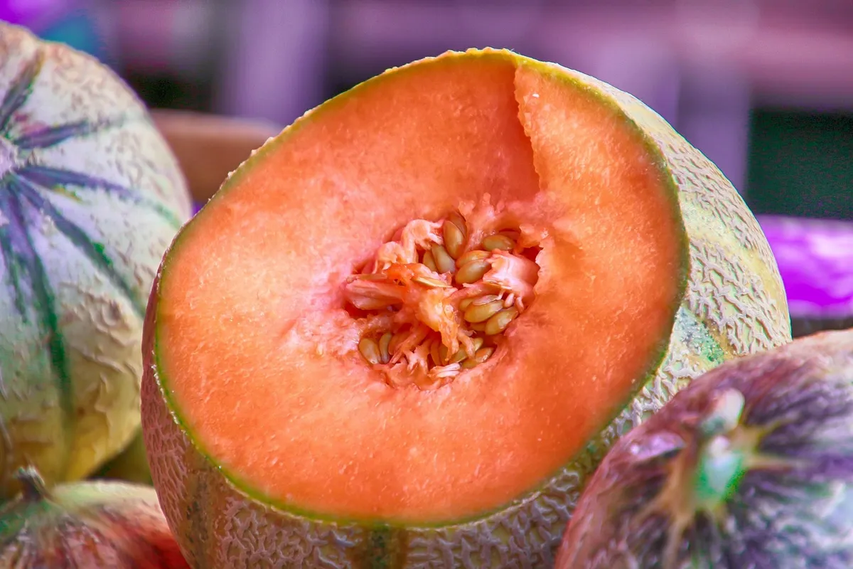 melon, fruit, vitamins, nature, food, culinary, recipe, sugar, summer, delicious, refreshment, health, juicy, dessert, slice